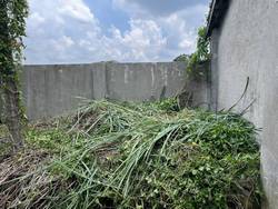 台中豐原區割草