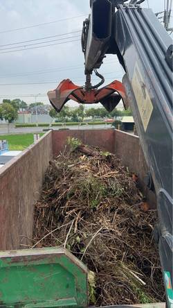 台中豐原區割草