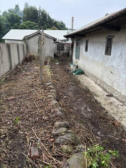 台中豐原區割草