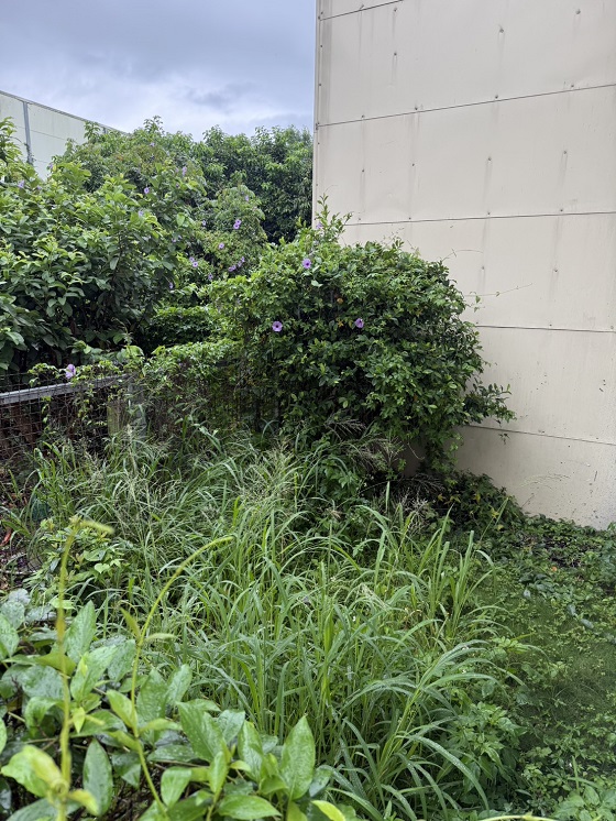台中神岡區割草