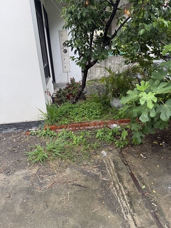 台中神岡區割草