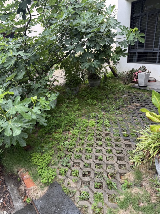 台中神岡區割草