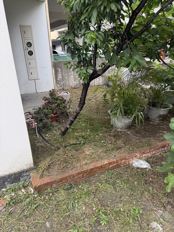 台中神岡區割草