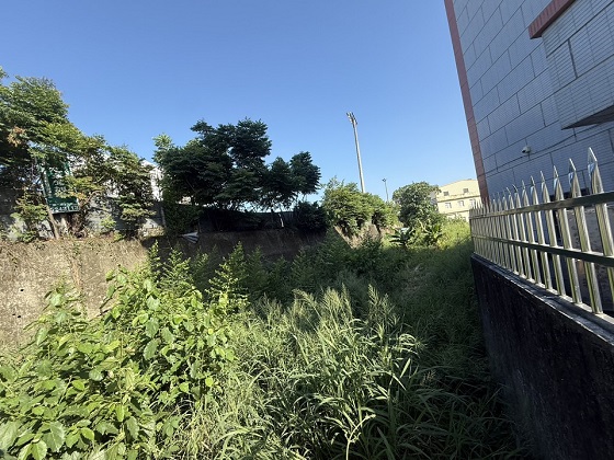 台中豐原區割草
