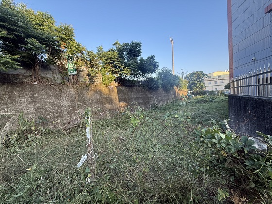 台中豐原區割草