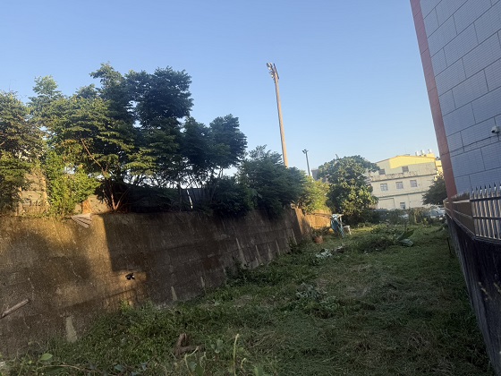 台中豐原區割草