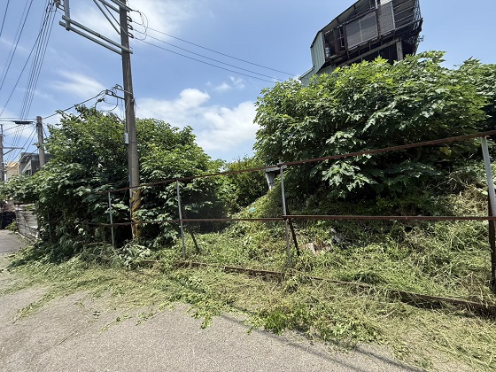 台中除草