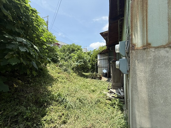 台中除草