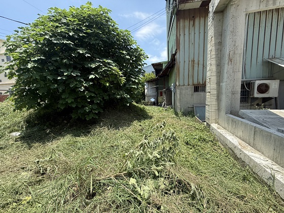 台中除草