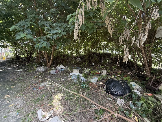 台中除草