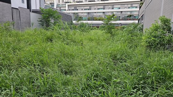 台中北屯除草