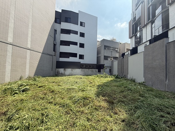 台中北屯除草