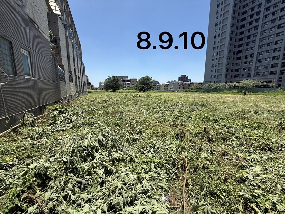 台中北屯除草