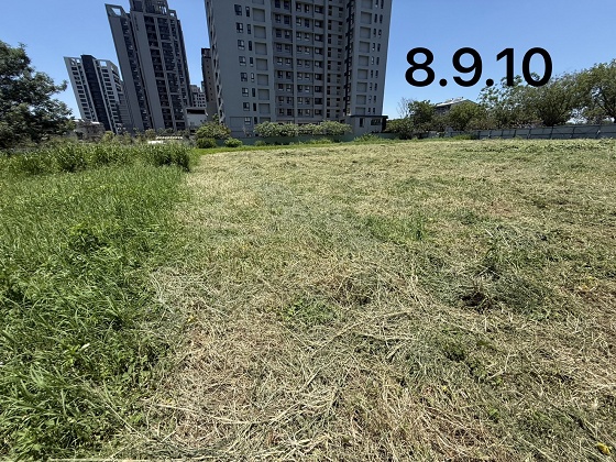 台中北屯除草