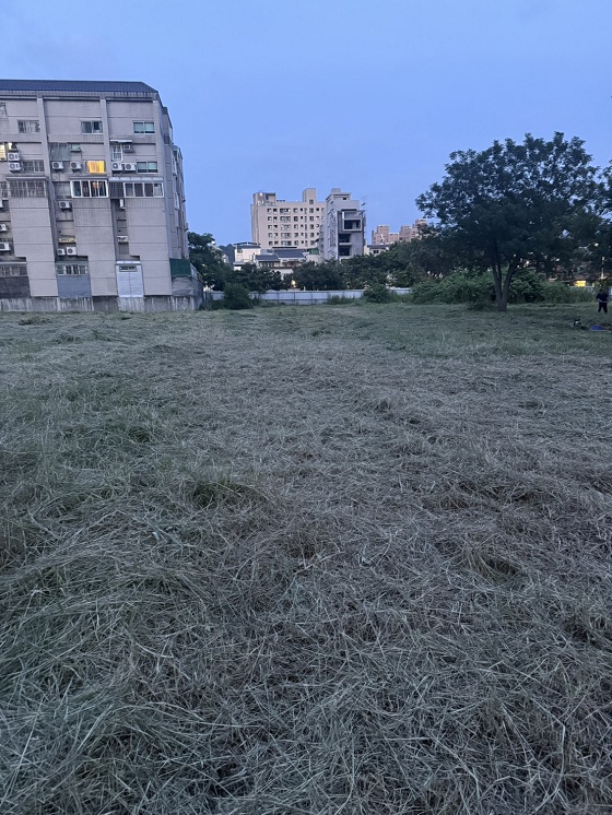 台中北屯除草