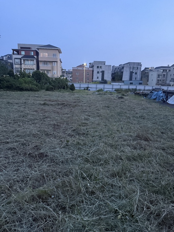 台中北屯除草