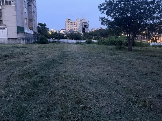 台中北屯除草