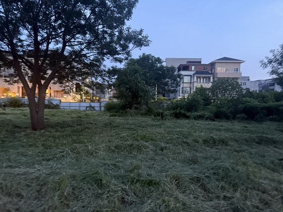 台中北屯除草