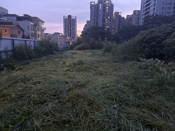 台中北屯除草