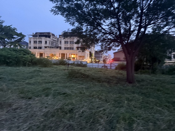台中北屯除草