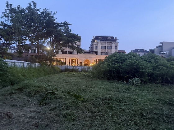 台中北屯除草