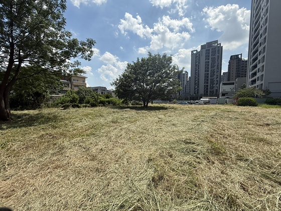 台中北屯除草