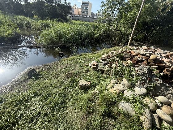 台中北屯除草
