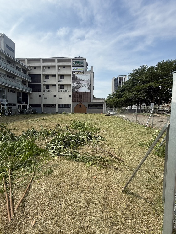 台中南屯除草