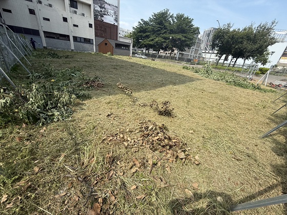 台中南屯除草