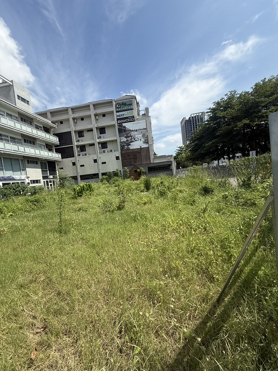 台中南屯除草