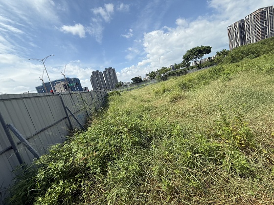 台中清水除草