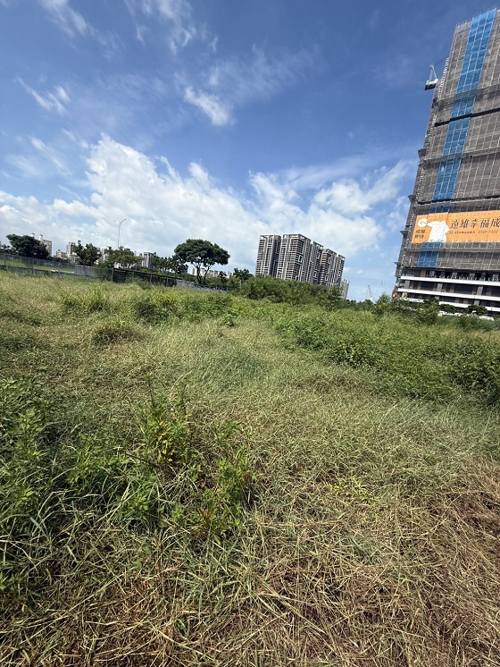 台中清水除草