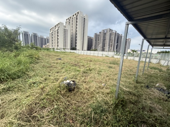 台中清水除草