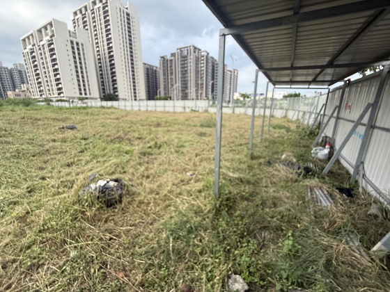 台中清水除草