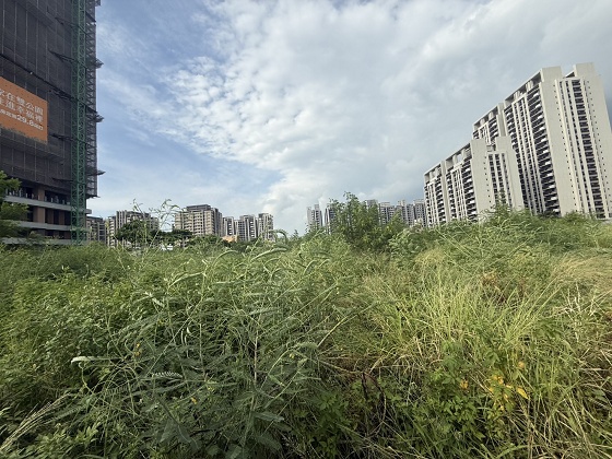 台中清水除草