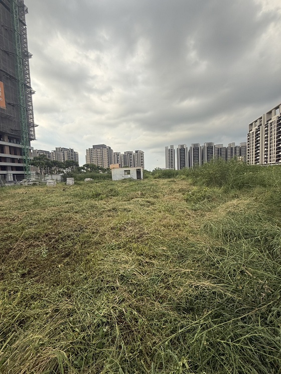 台中清水除草