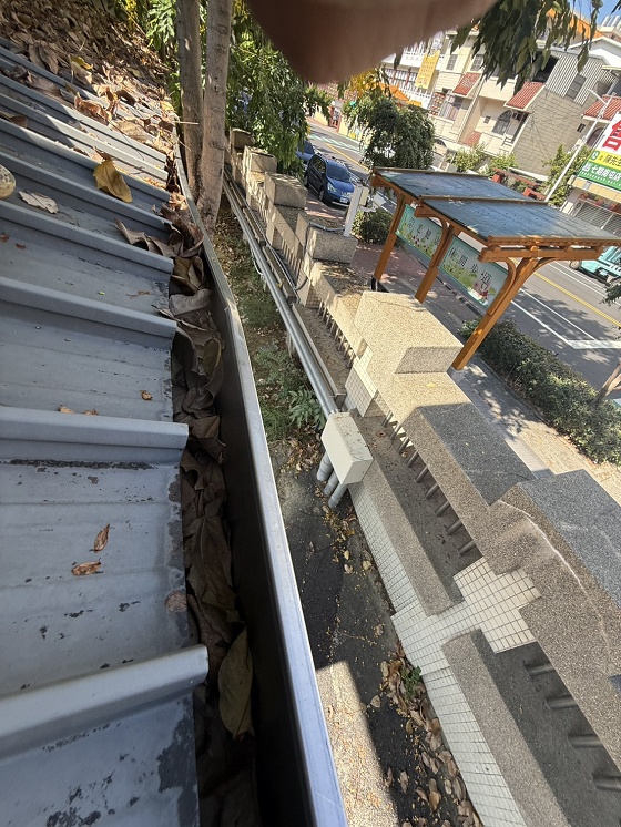 台中大里樹木修剪