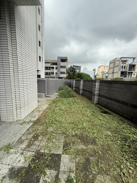 台中沙鹿除草