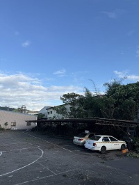 台中市太平區除草