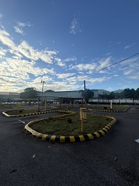 台中市太平區除草