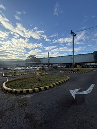 台中市太平區除草