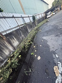 台中市太平區除草