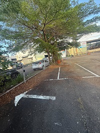 台中市太平區除草