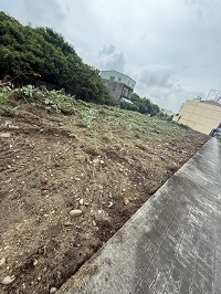 台中市梧棲區除草