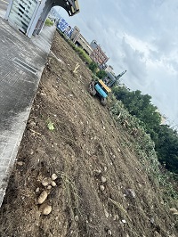 台中市梧棲區除草
