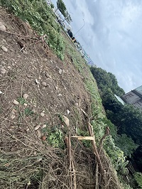 台中市梧棲區除草