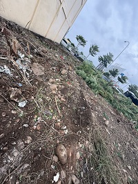 台中市梧棲區除草