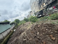 台中市梧棲區除草
