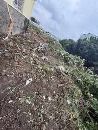 台中市梧棲區除草