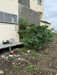 台中市梧棲區除草